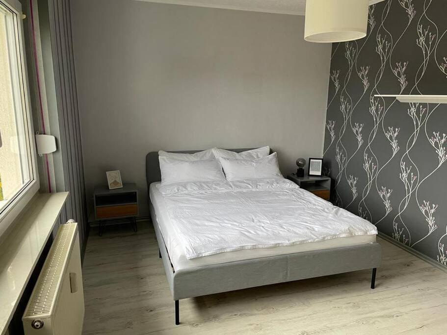 Elsterwerda Traumhafte Wohnung Im Gruenen מראה חיצוני תמונה